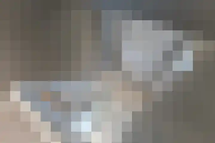 Speenkruidstraat 7 Alkmaar thumbnail 15