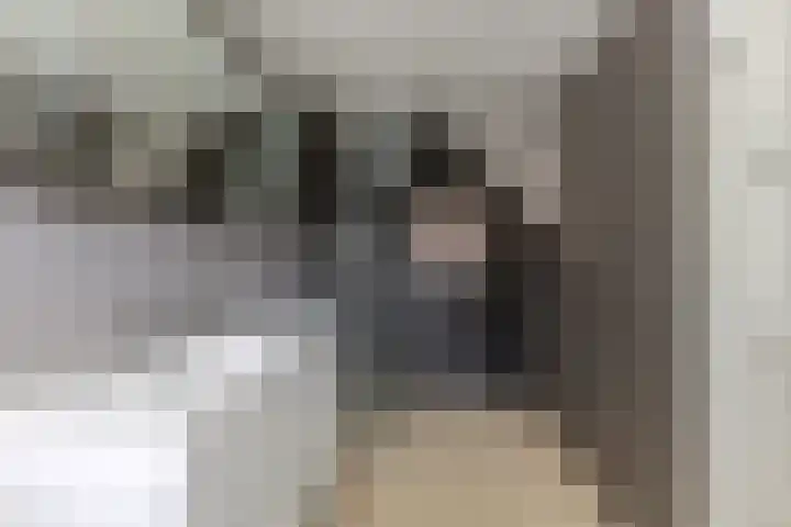 Speenkruidstraat 7 Alkmaar thumbnail 18