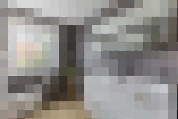 Speenkruidstraat 7 Alkmaar thumbnail 19