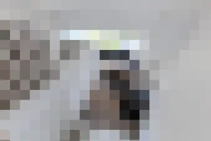 Speenkruidstraat 7 Alkmaar thumbnail 21