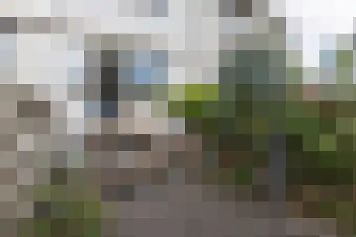 Speenkruidstraat 7 Alkmaar thumbnail 26