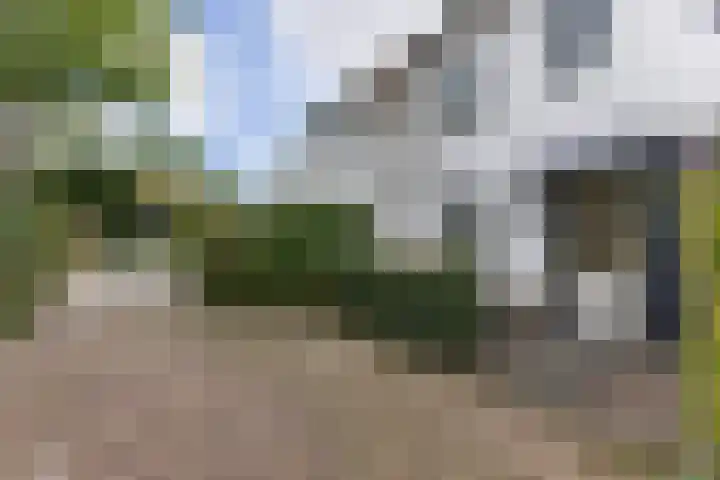 Speenkruidstraat 7 Alkmaar thumbnail 30