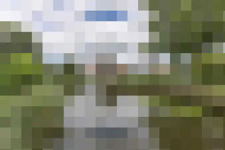 Speenkruidstraat 7 Alkmaar thumbnail 32