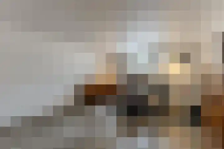 Speenkruidstraat 7 Alkmaar thumbnail 5