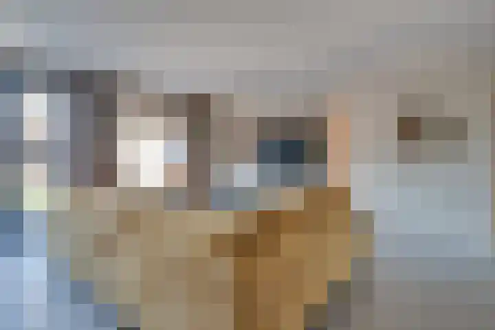 Speenkruidstraat 7 Heerhugowaard thumbnail 11