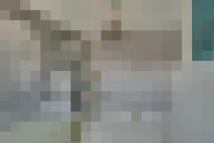 Speenkruidstraat 7 Heerhugowaard thumbnail 22