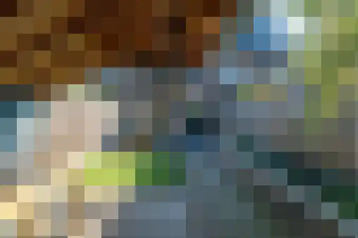 Speenkruidstraat 7 Heerhugowaard thumbnail 35