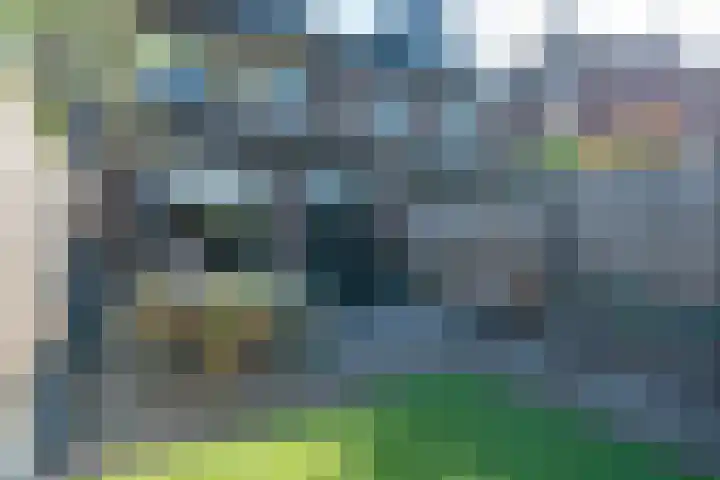 Speenkruidstraat 7 Heerhugowaard thumbnail 36
