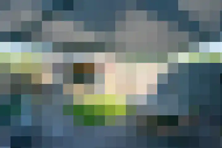 Speenkruidstraat 7 Heerhugowaard thumbnail 37