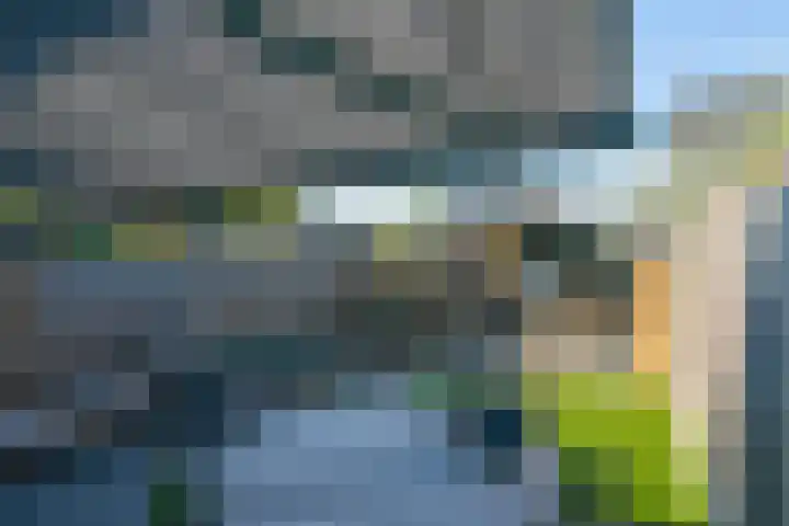 Speenkruidstraat 7 Heerhugowaard thumbnail 38