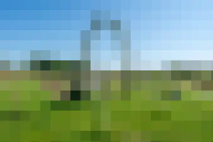 Speenkruidstraat 7 Heerhugowaard thumbnail 39