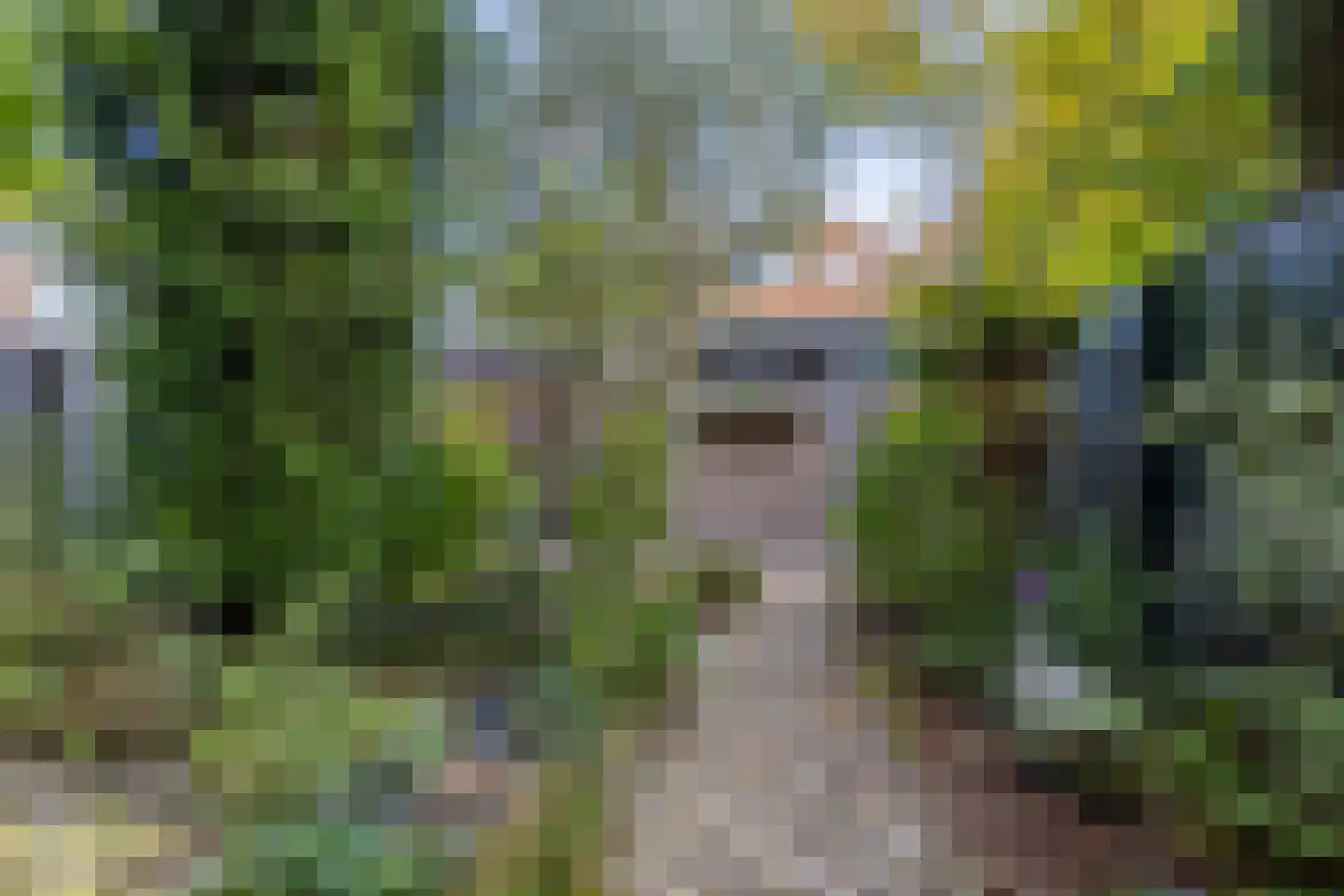 Speenkruidweg 29 Zaandam thumbnail 9