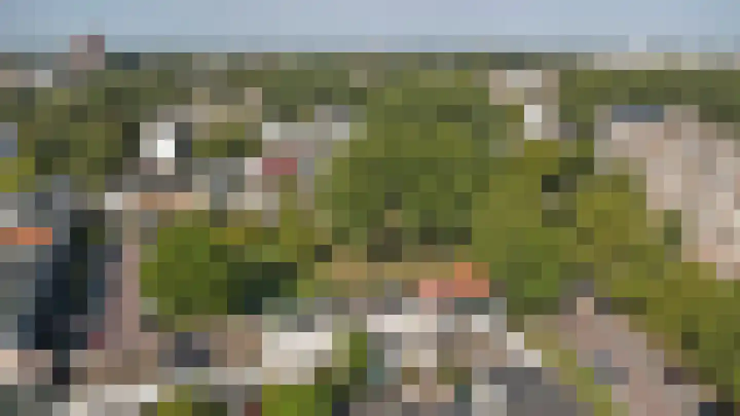 Speenkruidweg 30 Zaandam thumbnail 42