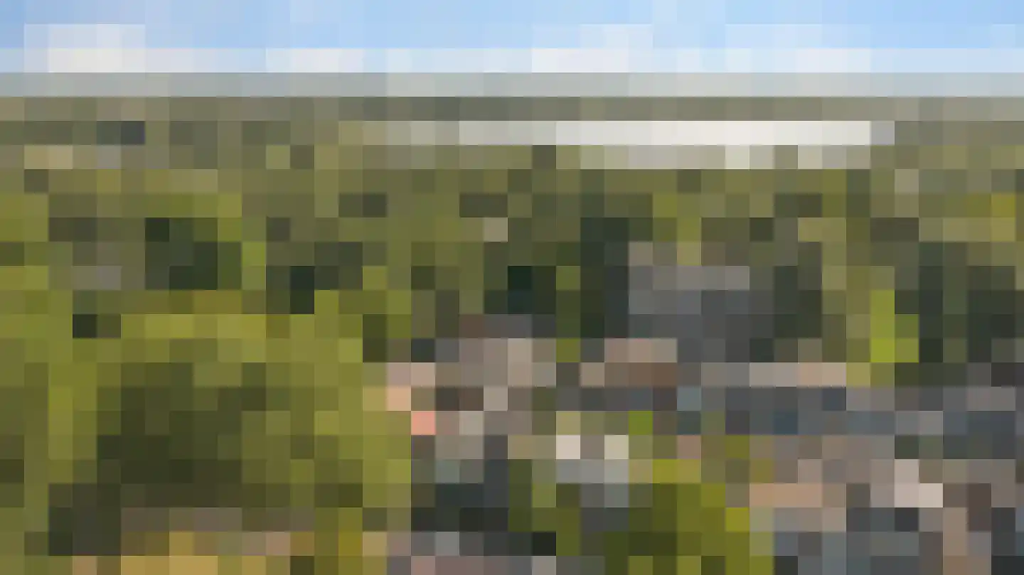 Speenkruidweg 30 Zaandam thumbnail 43
