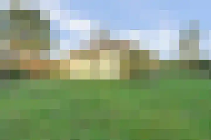 Speenkruidwei 34 Kortgene thumbnail 10