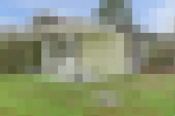 Speenkruidwei 34 Kortgene thumbnail 19
