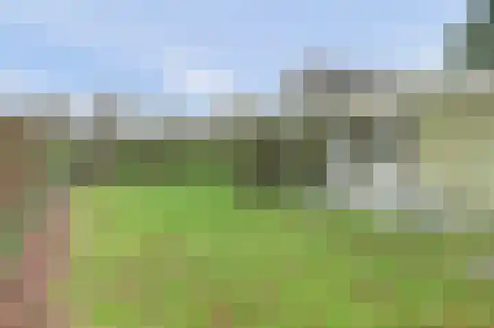 Speenkruidwei 34 Kortgene thumbnail 20