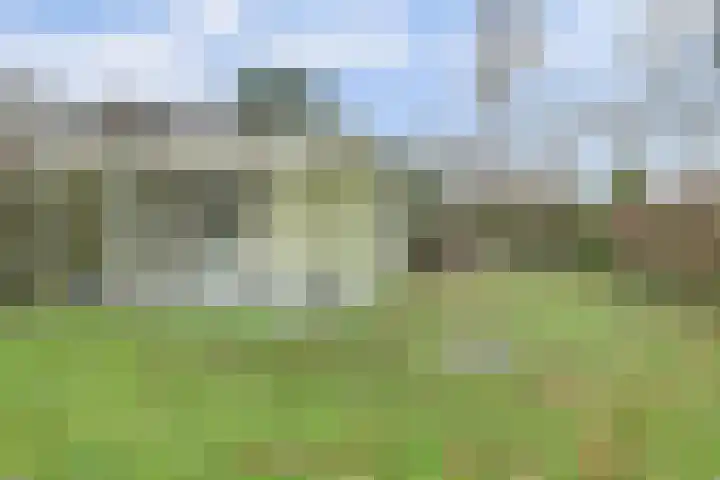 Speenkruidwei 34 Kortgene thumbnail 21