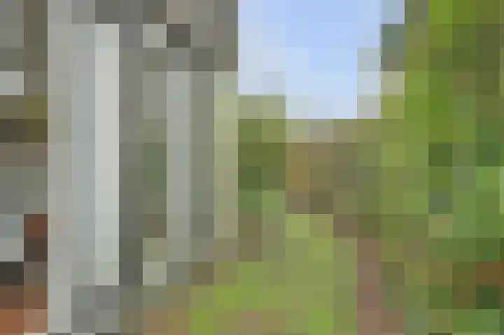 Speenkruidwei 34 Kortgene thumbnail 22