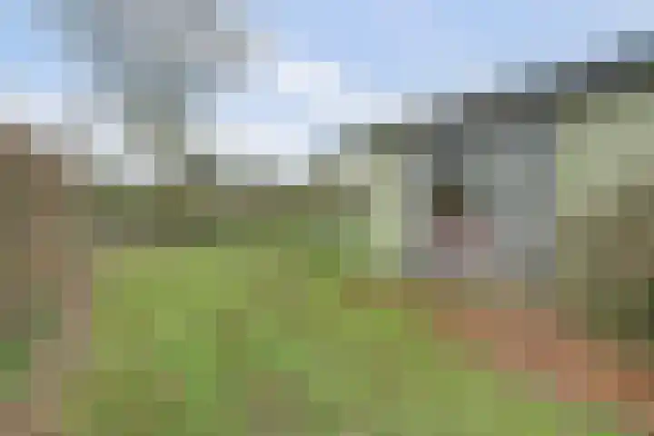 Speenkruidwei 34 Kortgene thumbnail 23