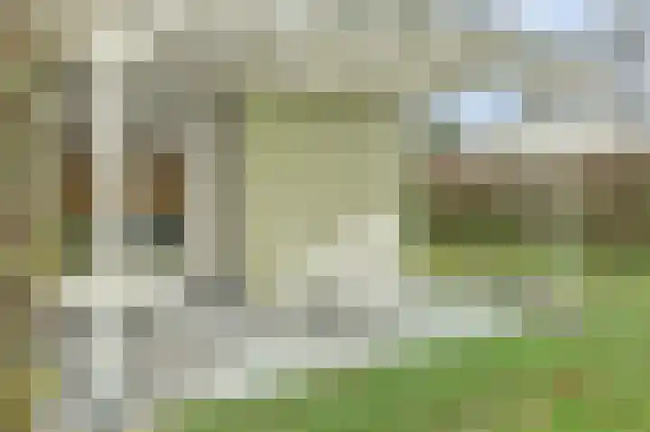 Speenkruidwei 34 Kortgene thumbnail 24