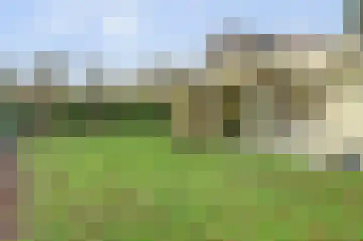Speenkruidwei 34 Kortgene thumbnail 25