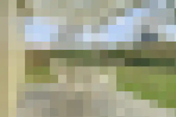 Speenkruidwei 34 Kortgene thumbnail 27