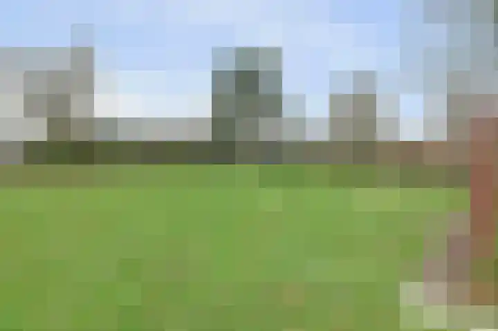 Speenkruidwei 34 Kortgene thumbnail 28