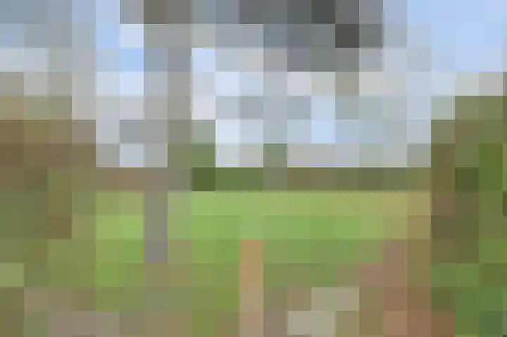 Speenkruidwei 34 Kortgene thumbnail 29