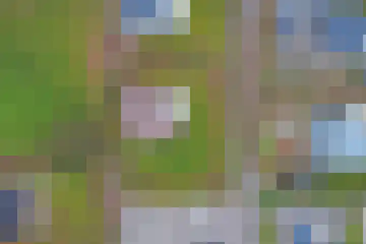 Speenkruidwei 34 Kortgene thumbnail 30