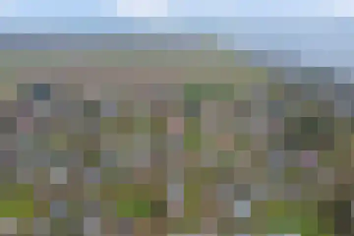 Speenkruidwei 34 Kortgene thumbnail 31
