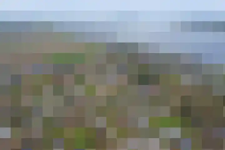 Speenkruidwei 34 Kortgene thumbnail 32