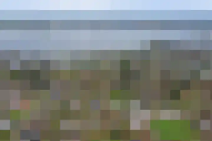 Speenkruidwei 34 Kortgene thumbnail 33