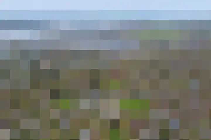 Speenkruidwei 34 Kortgene thumbnail 34