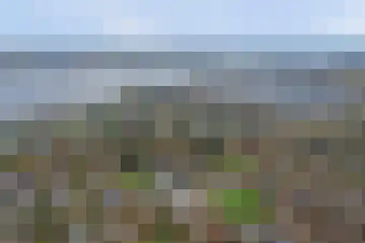Speenkruidwei 34 Kortgene thumbnail 35