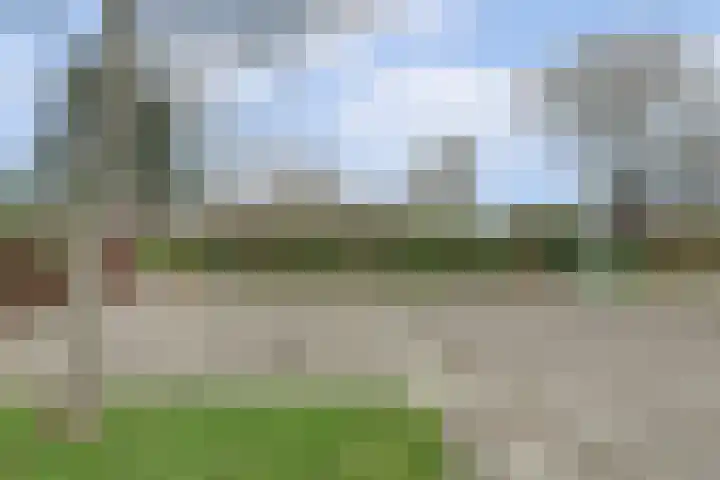 Speenkruidwei 34 Kortgene thumbnail 36