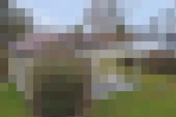 Speenkruidwei 34 Kortgene thumbnail 37
