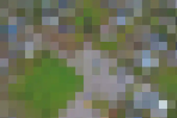 Speenkruidwei 34 Kortgene thumbnail 38