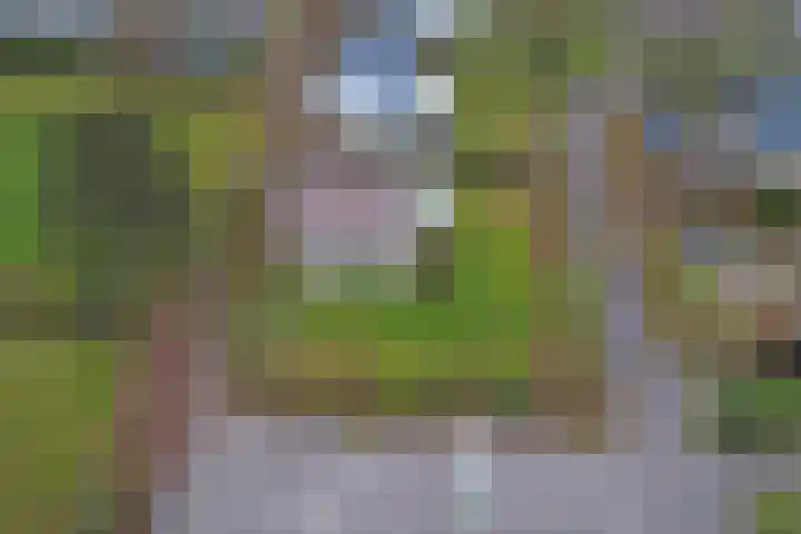 Speenkruidwei 34 Kortgene thumbnail 39