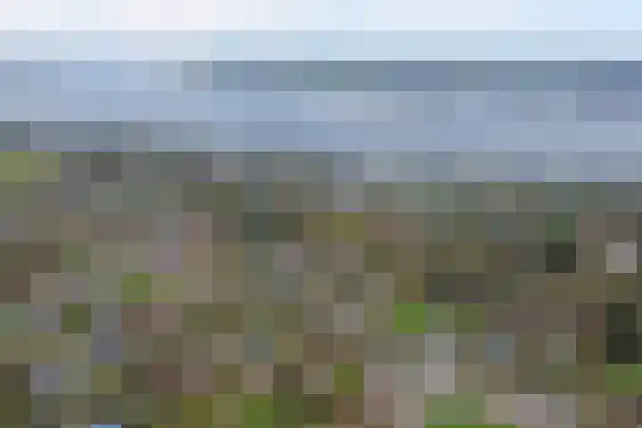 Speenkruidwei 34 Kortgene thumbnail 4