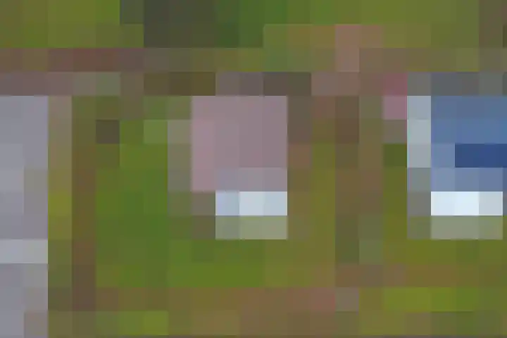 Speenkruidwei 34 Kortgene thumbnail 40
