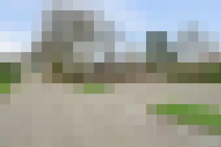 Speenkruidwei 34 Kortgene thumbnail 41
