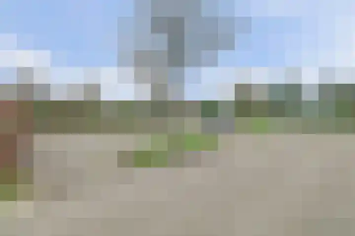 Speenkruidwei 34 Kortgene thumbnail 42