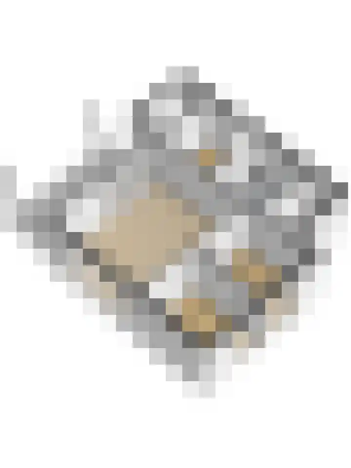 Speenkruidwei 34 Kortgene thumbnail 46