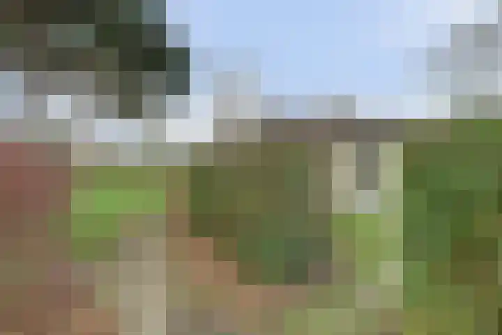 Speenkruidwei 34 Kortgene thumbnail 6