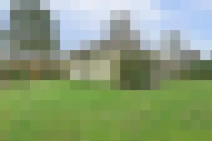 Speenkruidwei 34 Kortgene thumbnail 8