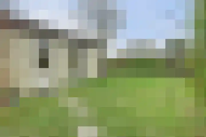 Speenkruidwei 34 Kortgene thumbnail 9