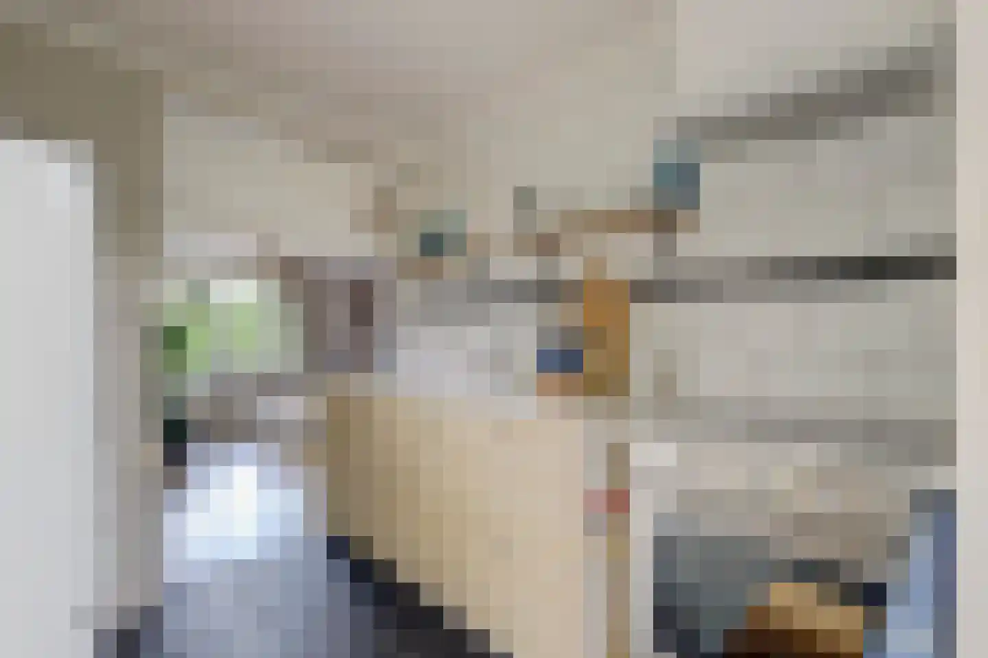 Speenkruidwei 36 Kortgene thumbnail 11