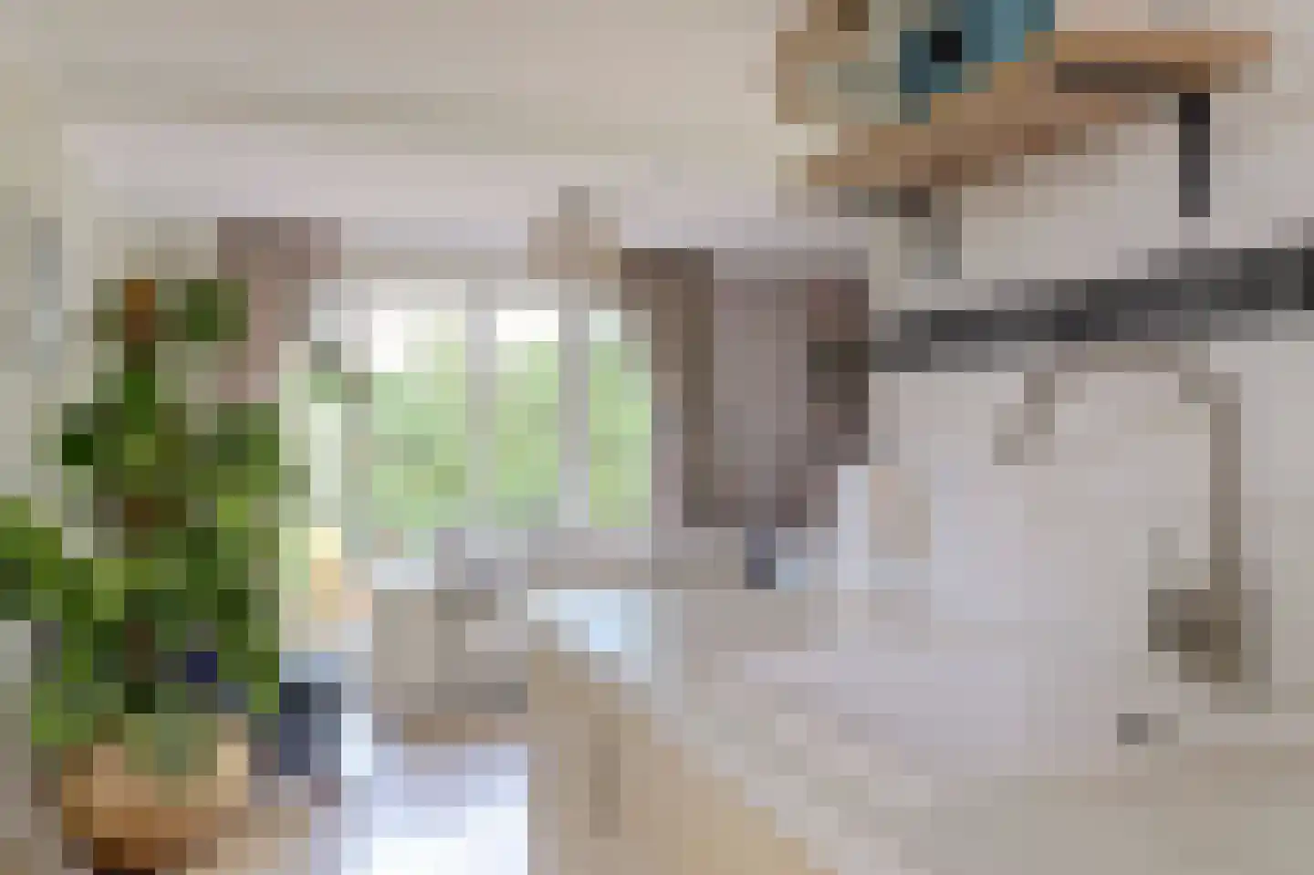Speenkruidwei 36 Kortgene thumbnail 13