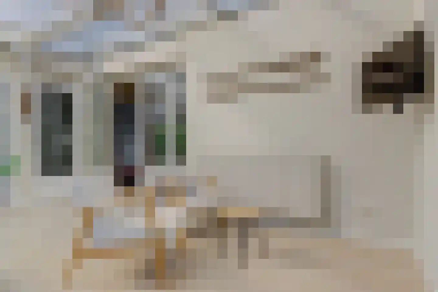 Speenkruidwei 36 Kortgene thumbnail 22